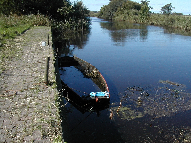 DSCN5025.JPG - Langzaam maar zeker komt hij naar boven...