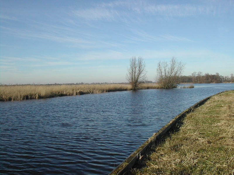 DSCN5184.JPG - Tussen de Houtwielen en Sierdswielen