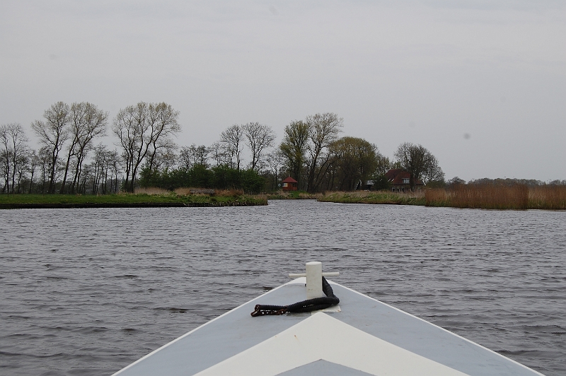 DSC_8029.JPG
