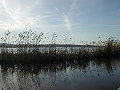 DSCN5177