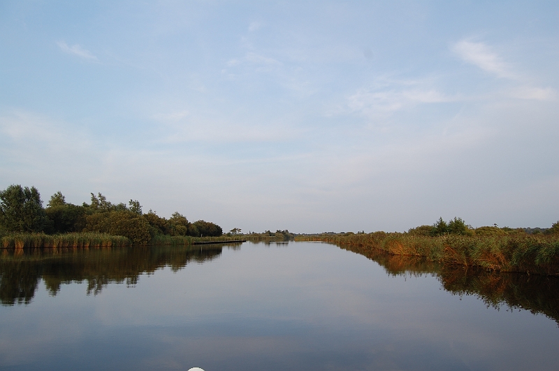 DSC_2658.JPG