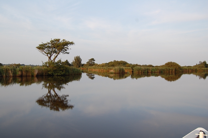 DSC_2666.JPG